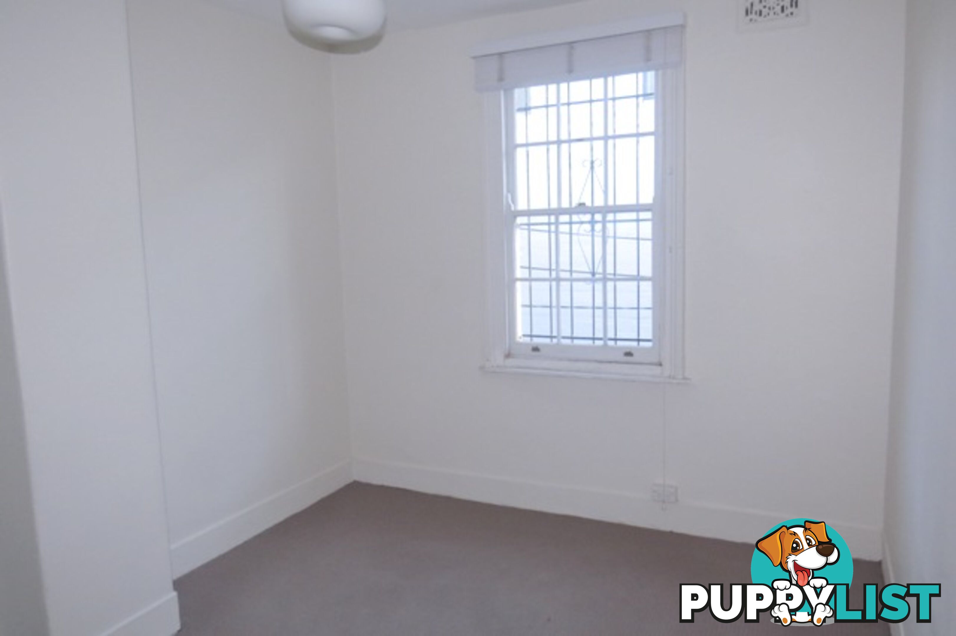 8 Victoria Place PADDINGTON NSW 2021