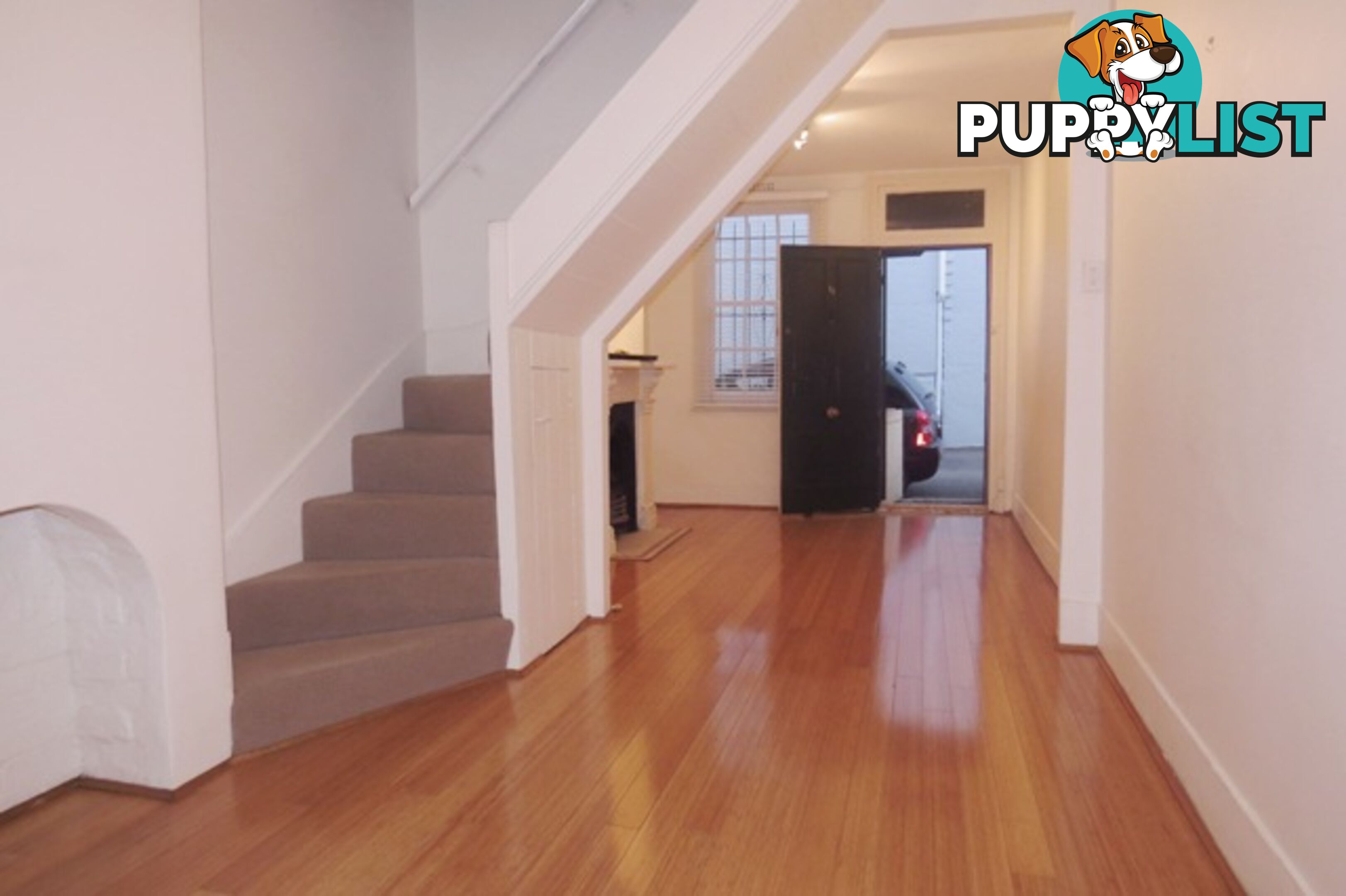 8 Victoria Place PADDINGTON NSW 2021