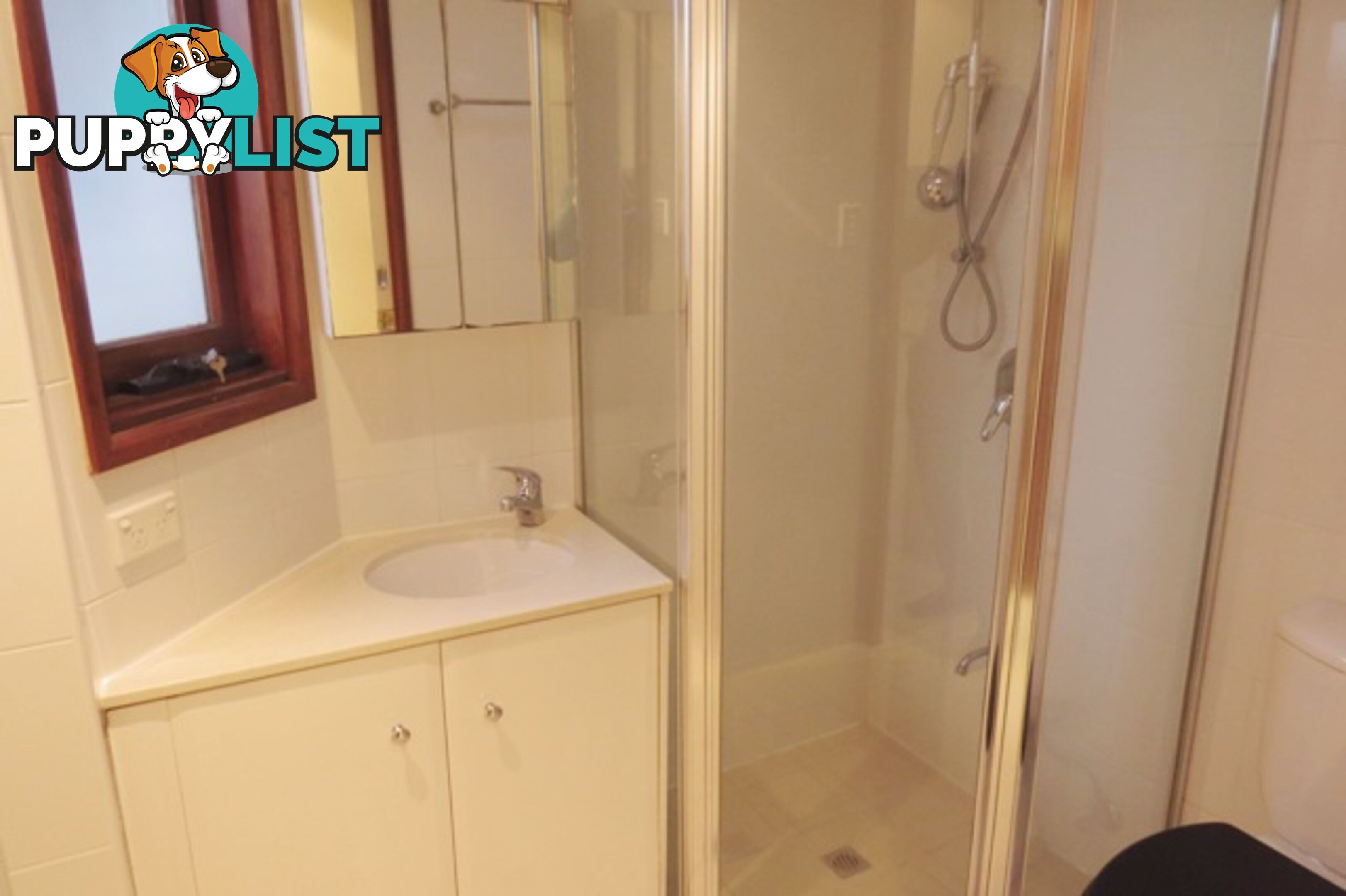 8 Victoria Place PADDINGTON NSW 2021