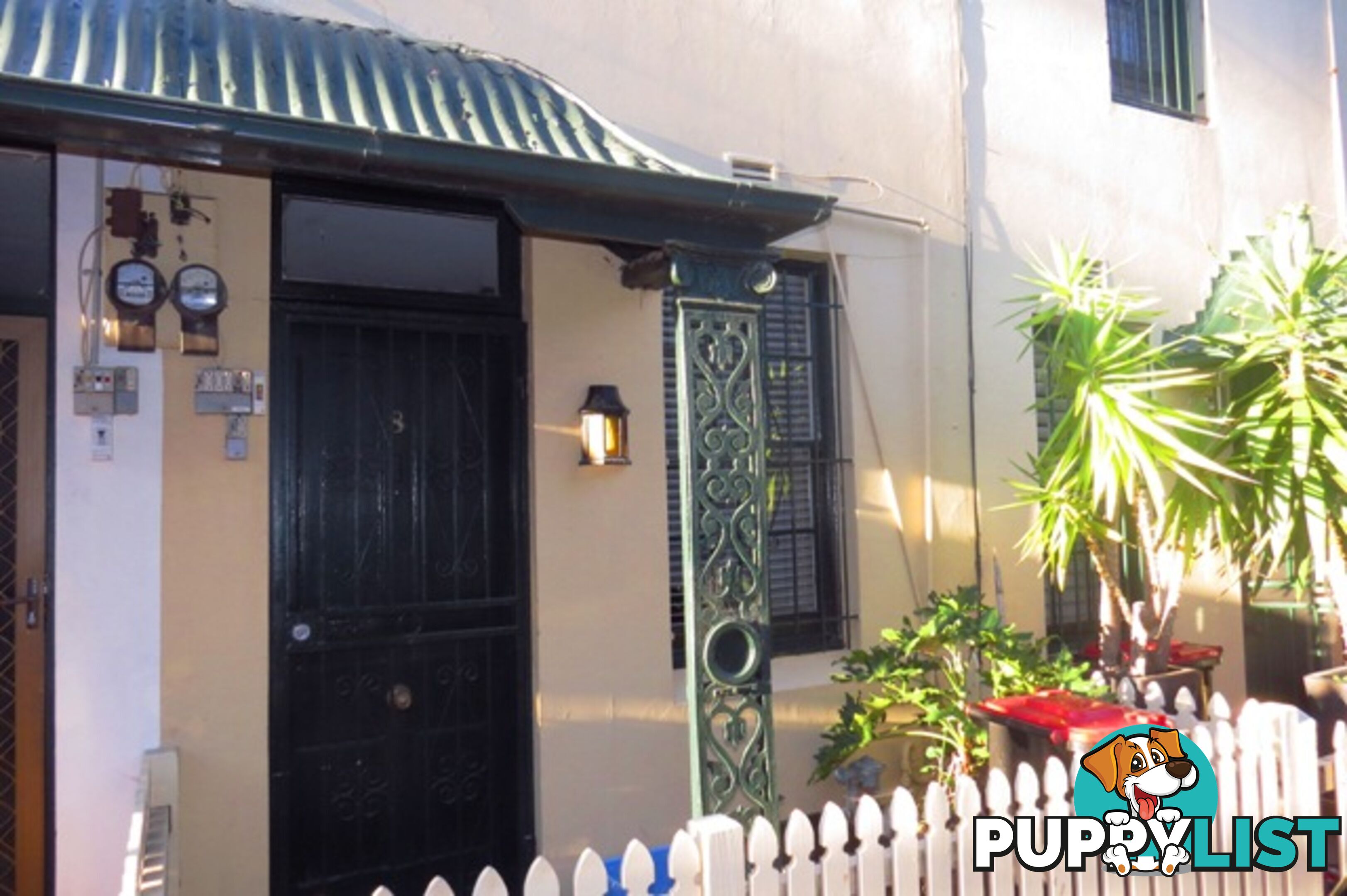 8 Victoria Place PADDINGTON NSW 2021
