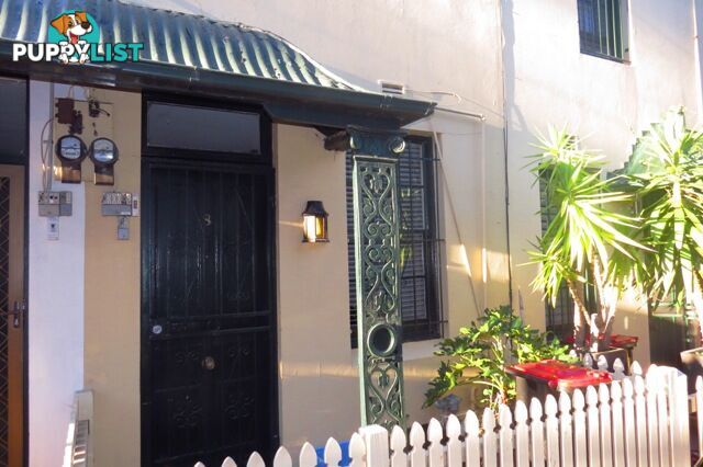 8 Victoria Place PADDINGTON NSW 2021
