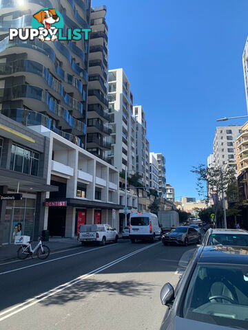 BONDI JUNCTION NSW 2022