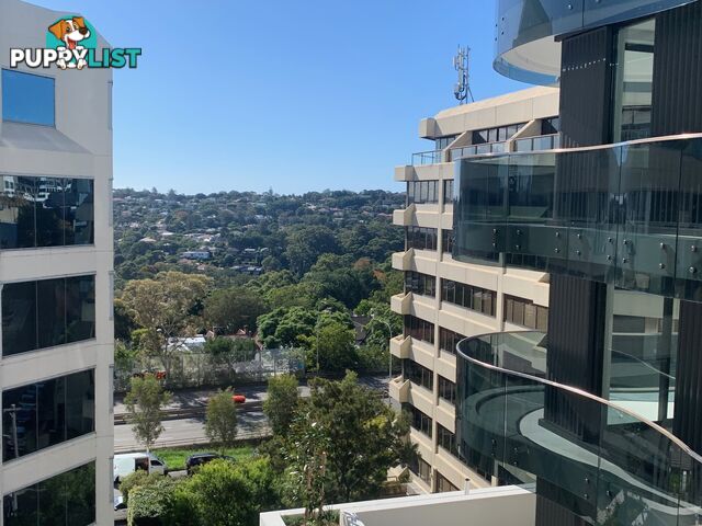 BONDI JUNCTION NSW 2022