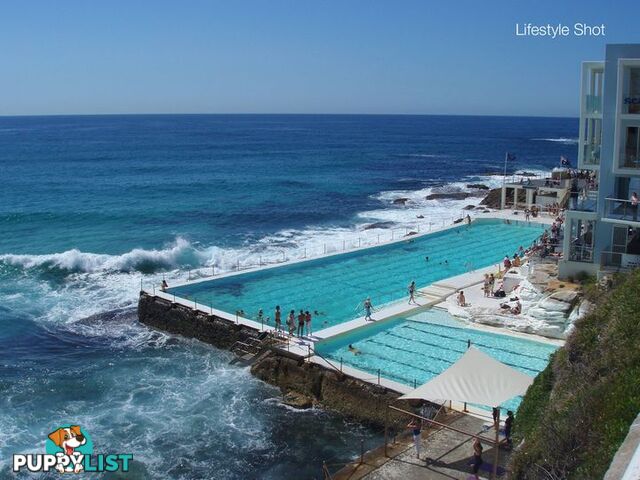 8/18 Francis Street BONDI BEACH NSW 2026