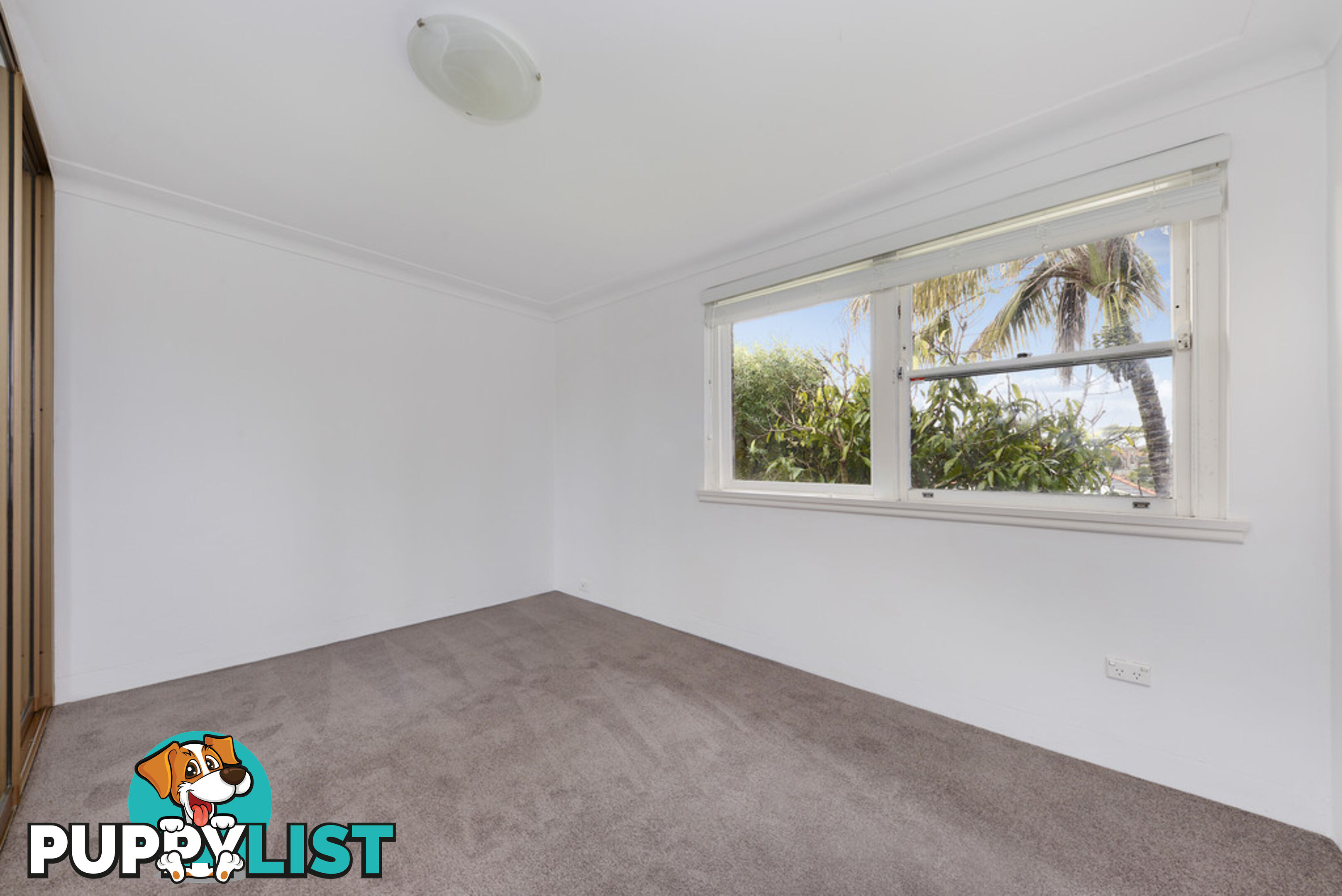 5/36 Frenchmans Road RANDWICK NSW 2031