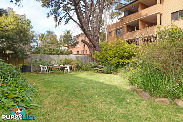 2/18 Duke Street KENSINGTON NSW 2033