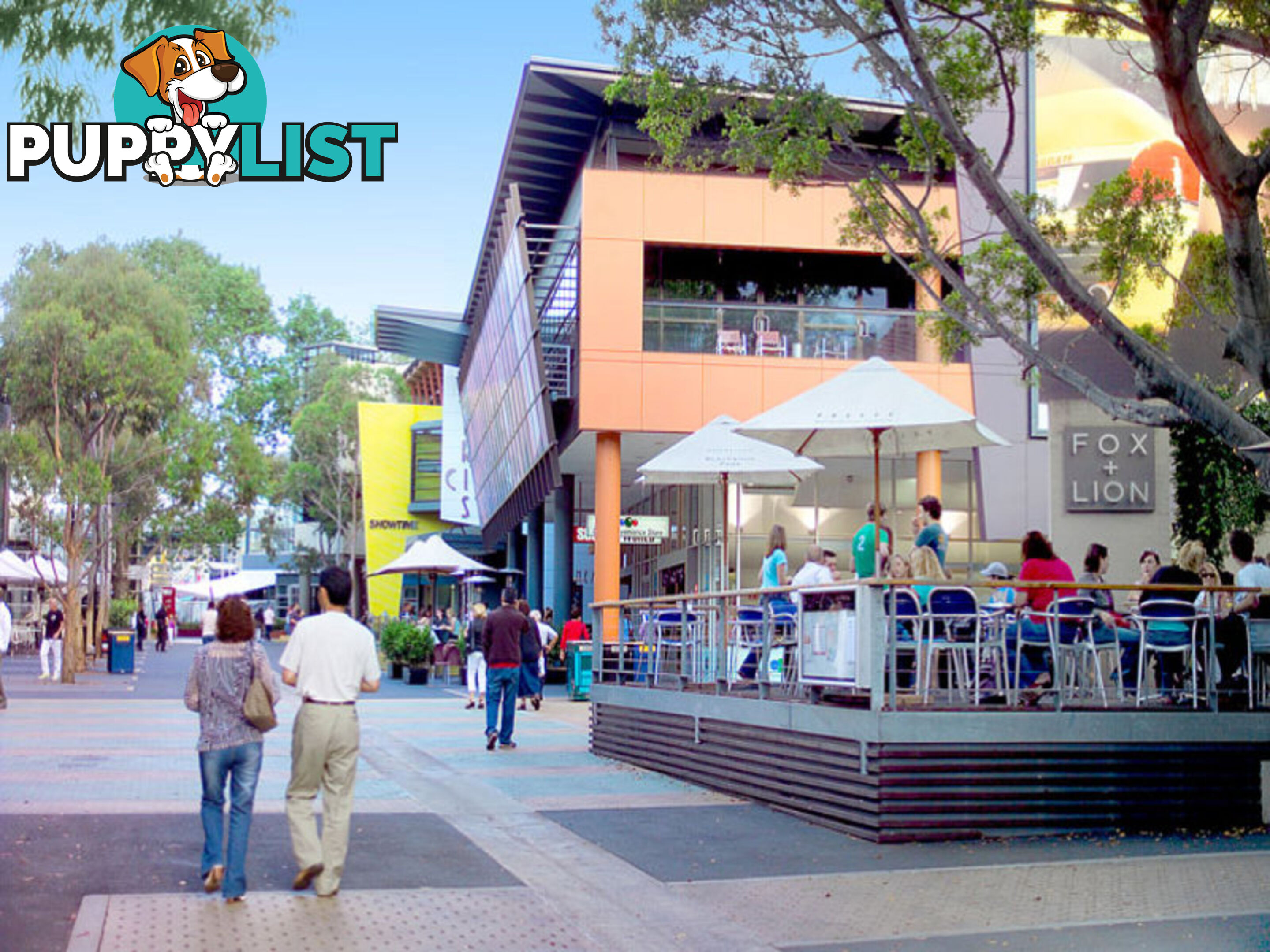 2/18 Duke Street KENSINGTON NSW 2033