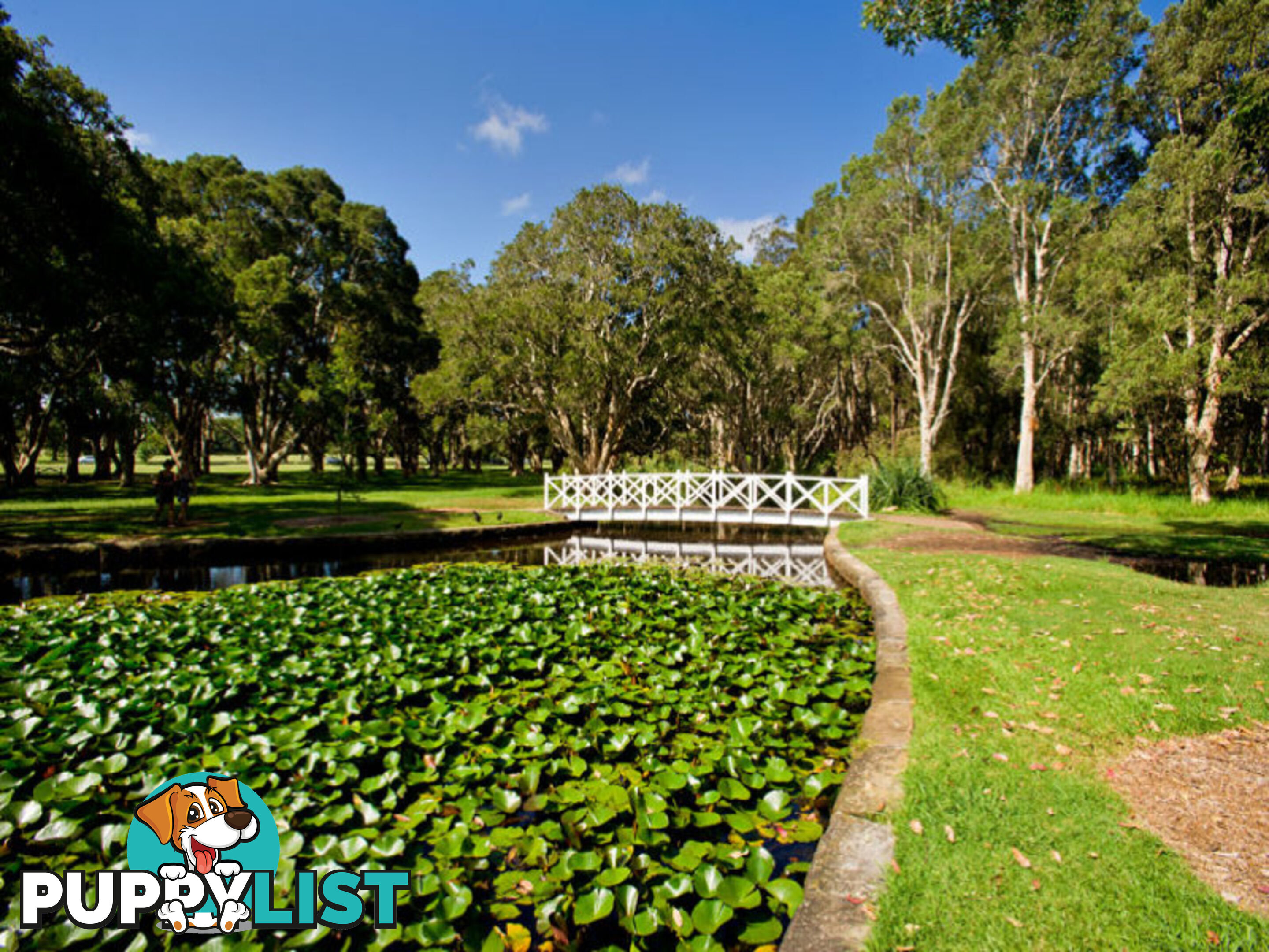 2/18 Duke Street KENSINGTON NSW 2033