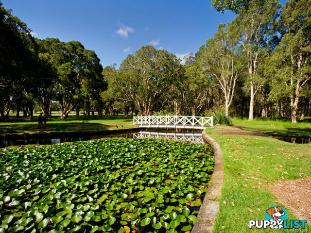 2/18 Duke Street KENSINGTON NSW 2033
