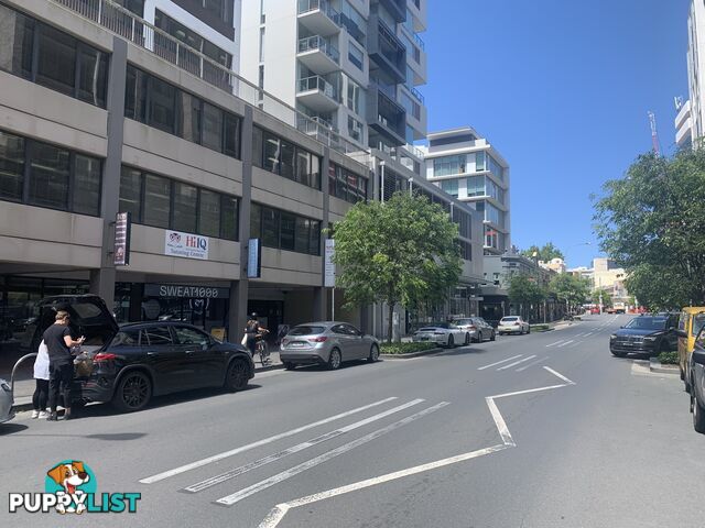 201A 332 Oxford Street BONDI JUNCTION NSW 2022