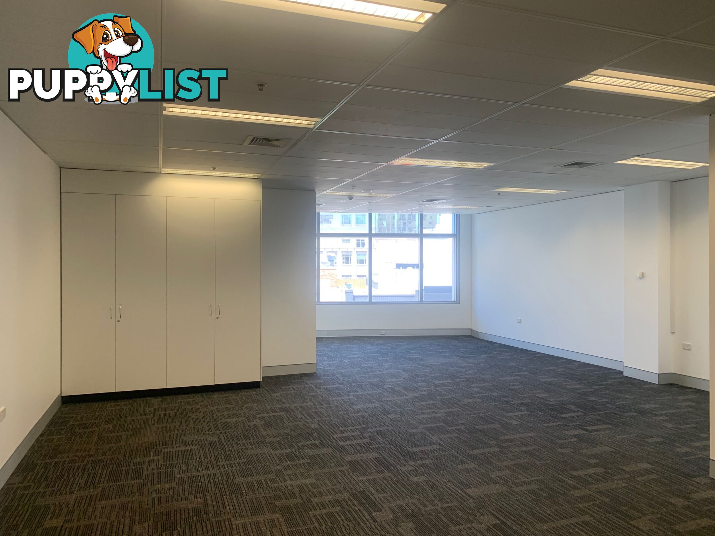 2 Grosvenor BONDI JUNCTION NSW 2022