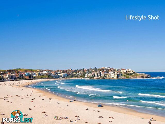 15/9-11 Ocean Street (North side) BONDI NSW 2026