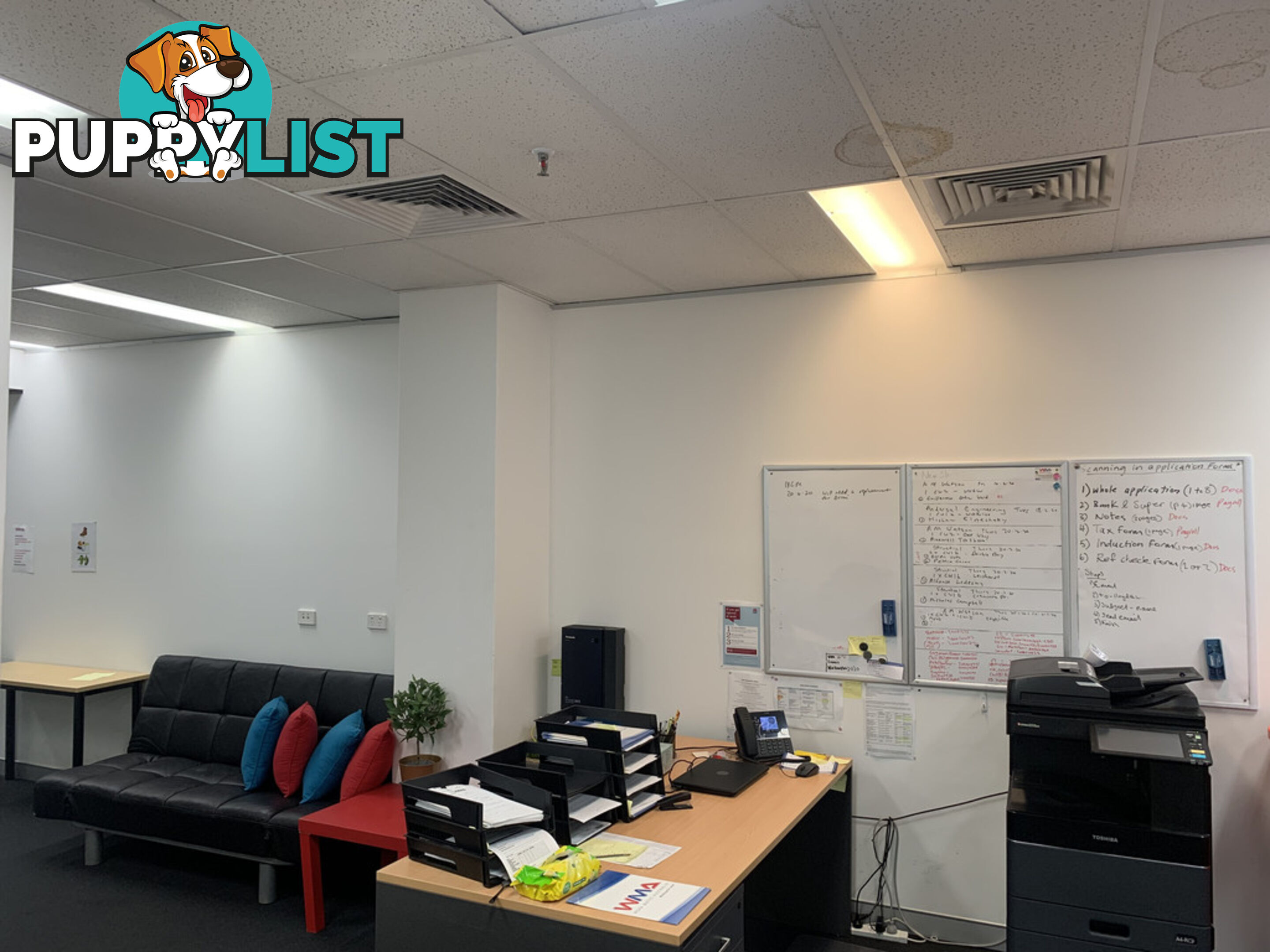 Suite 201/332 Oxford Street BONDI JUNCTION NSW 2022