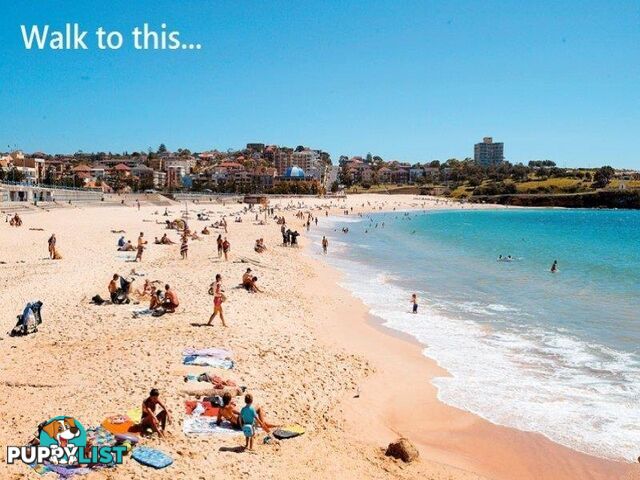 3/37 Melody Street COOGEE NSW 2034
