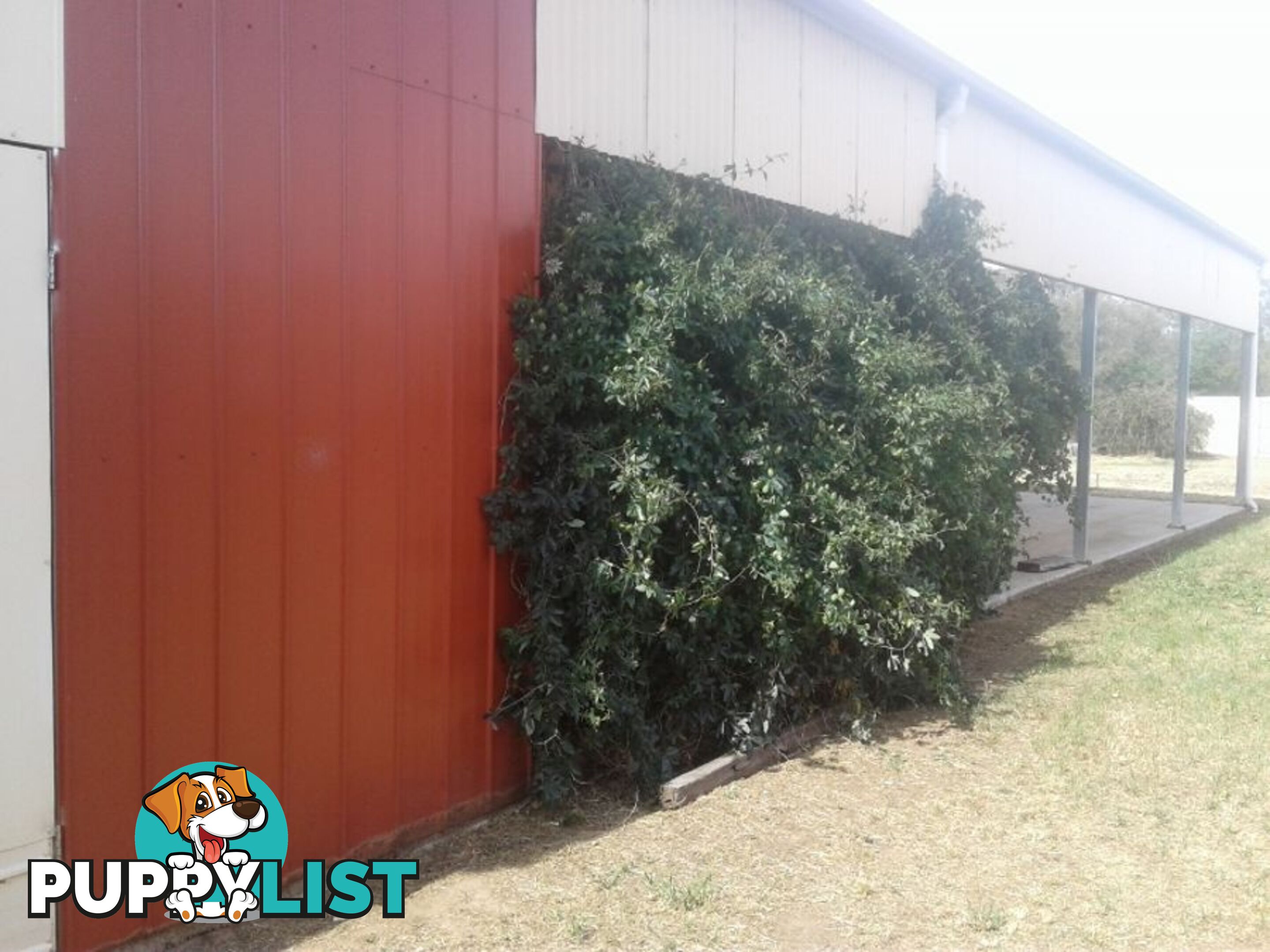 75 Cobram St BERRIGAN NSW 2712