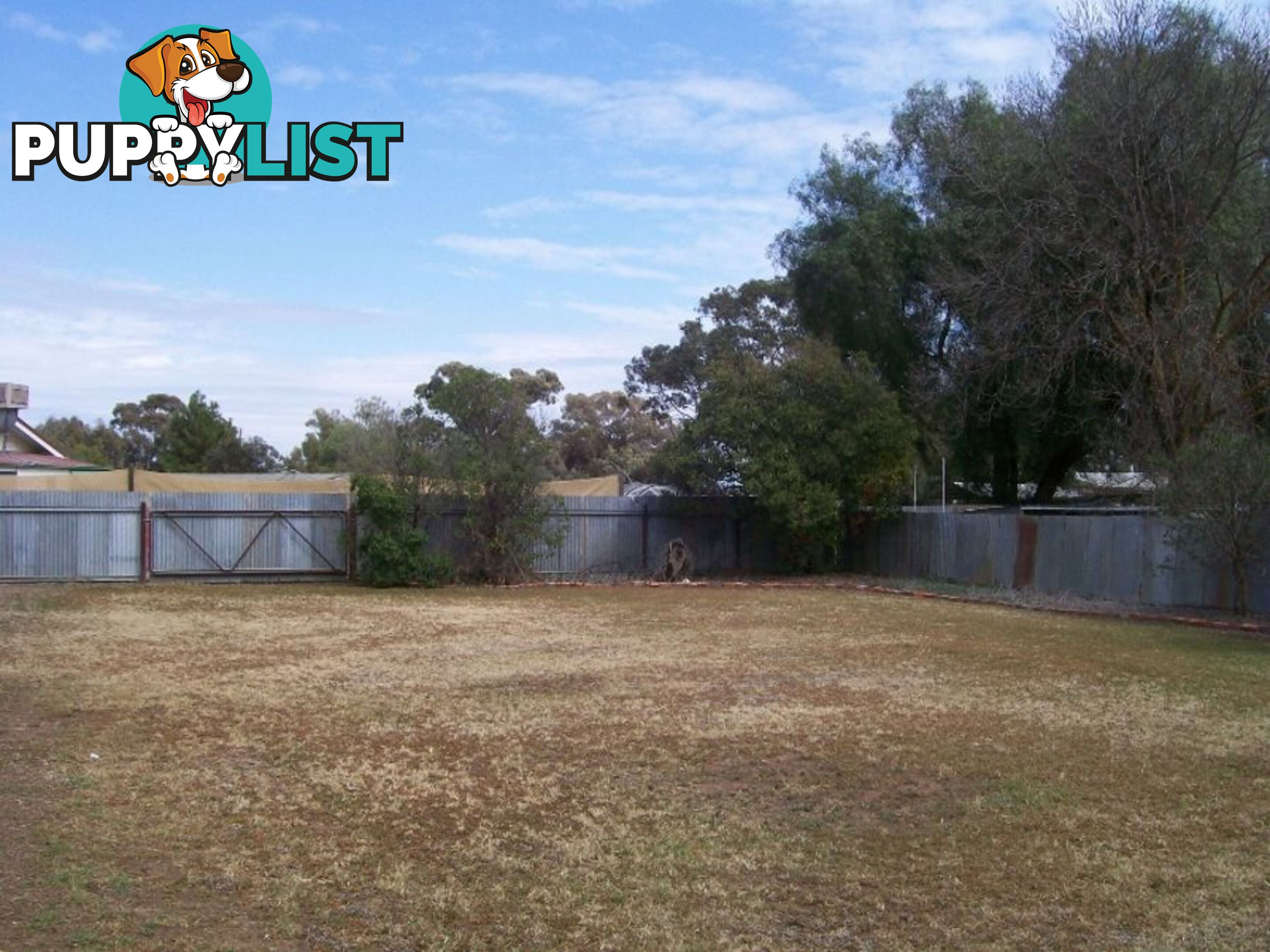 21 Flynn St BERRIGAN NSW 2712
