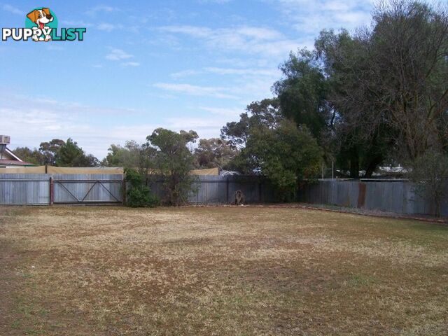 21 Flynn St BERRIGAN NSW 2712