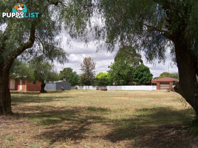 lots 13-14 Chanter St BERRIGAN NSW 2712