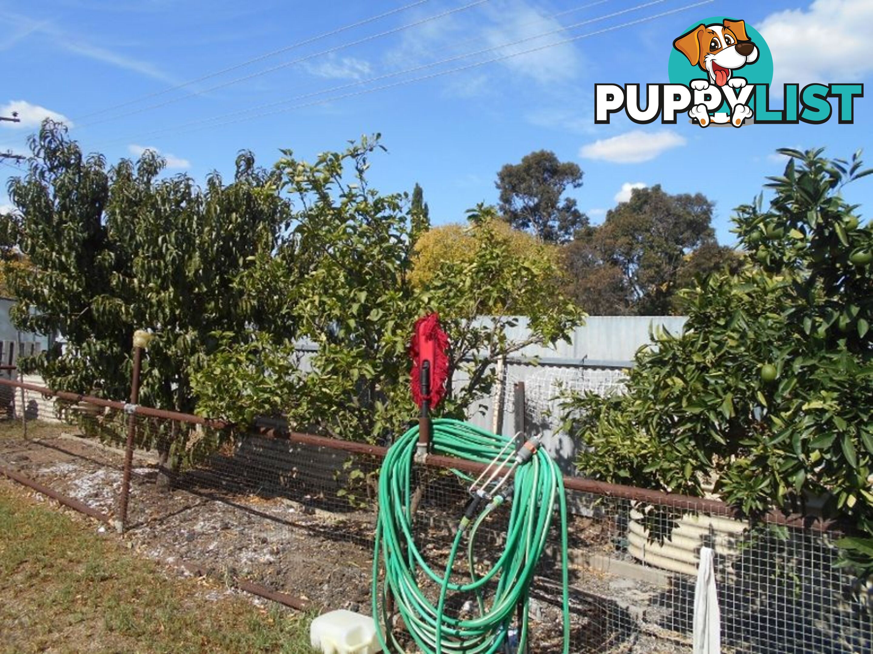 30 Davis St BERRIGAN NSW 2712