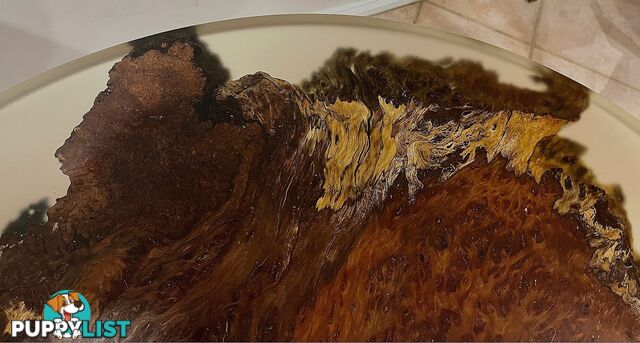 Redgum Burl Resin Table