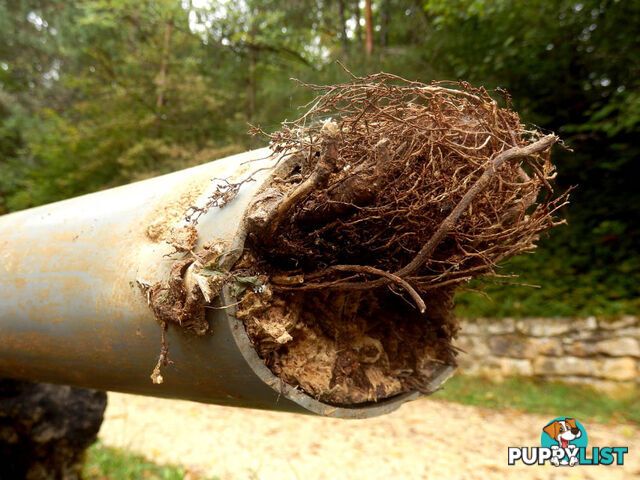 Clear Blocked Drains, Beaconsfield, VIC