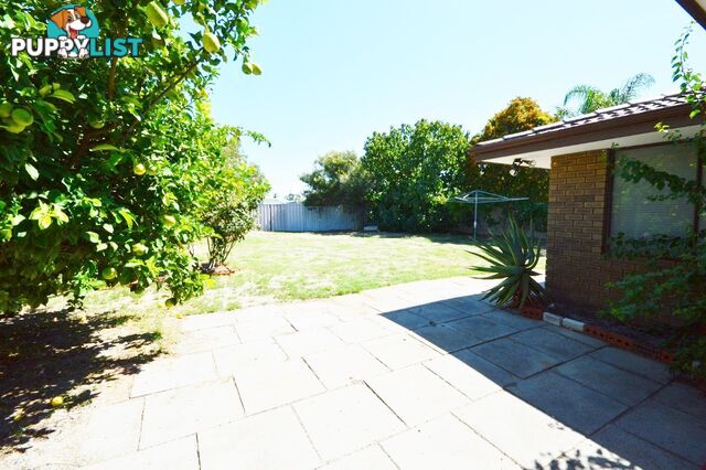 12 Kidman Court THORNLIE WA 6108