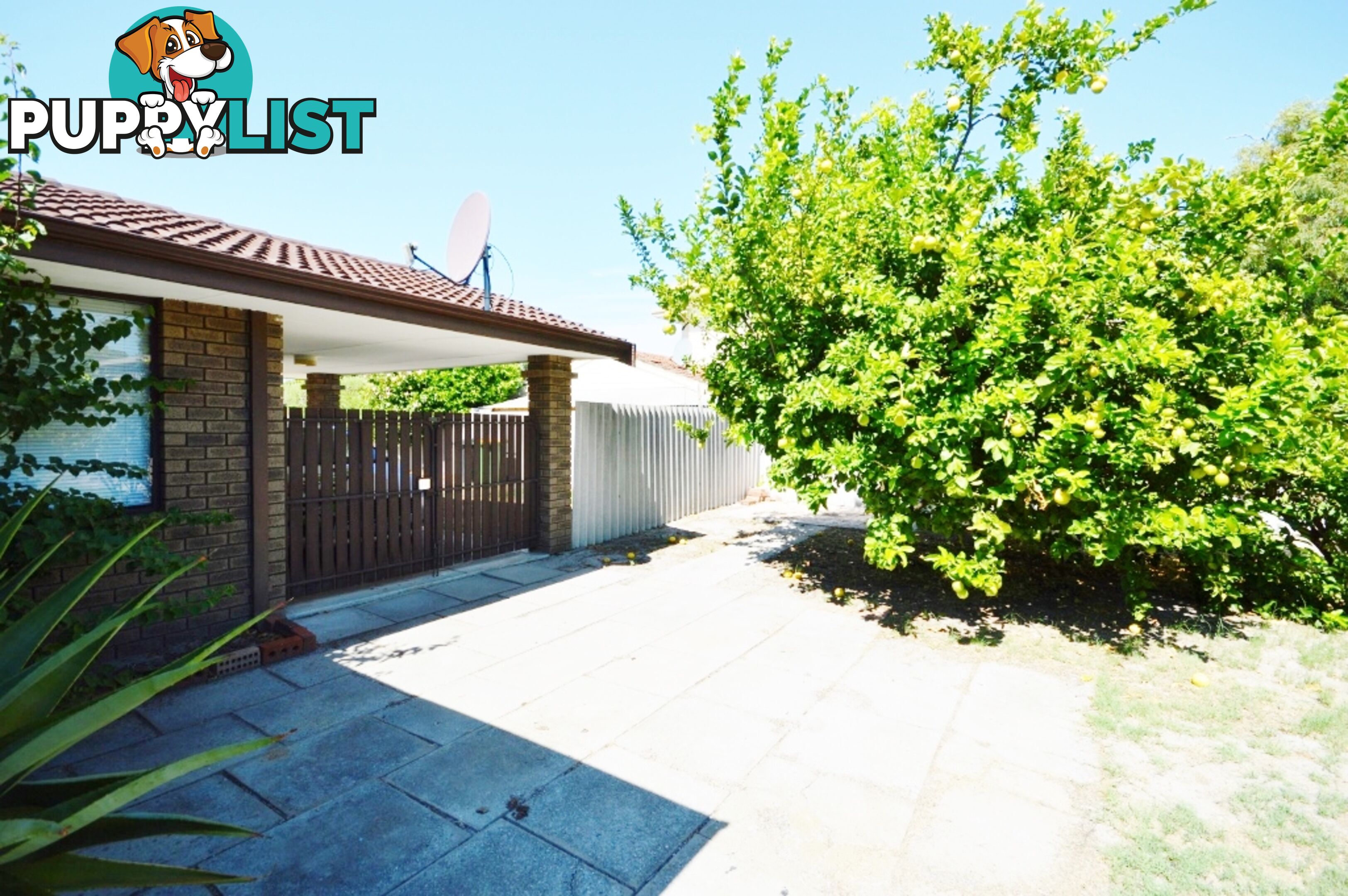 12 Kidman Court THORNLIE WA 6108