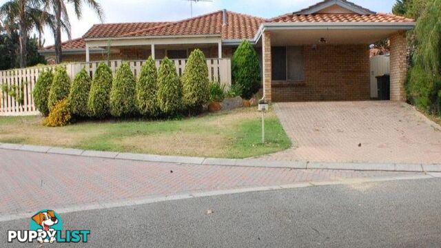 17 Slater Court KARDINYA WA 6163