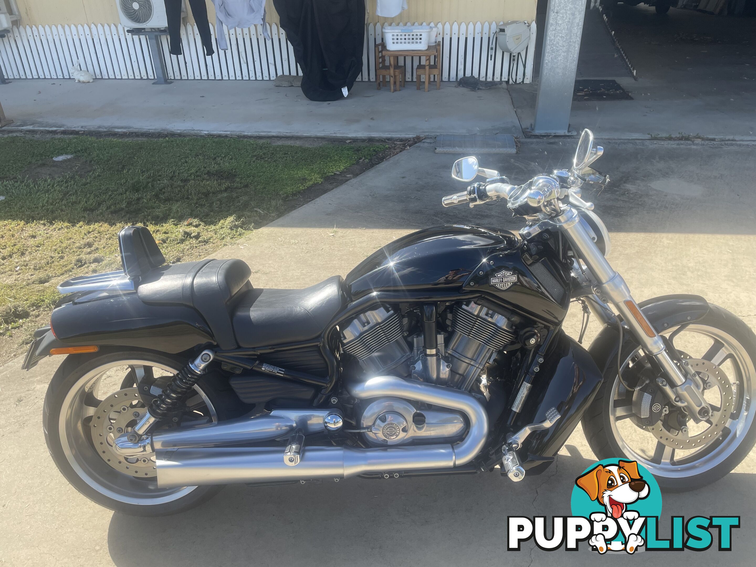 2009 Harley-Davidson V-Rod Muscle (VRSCF)