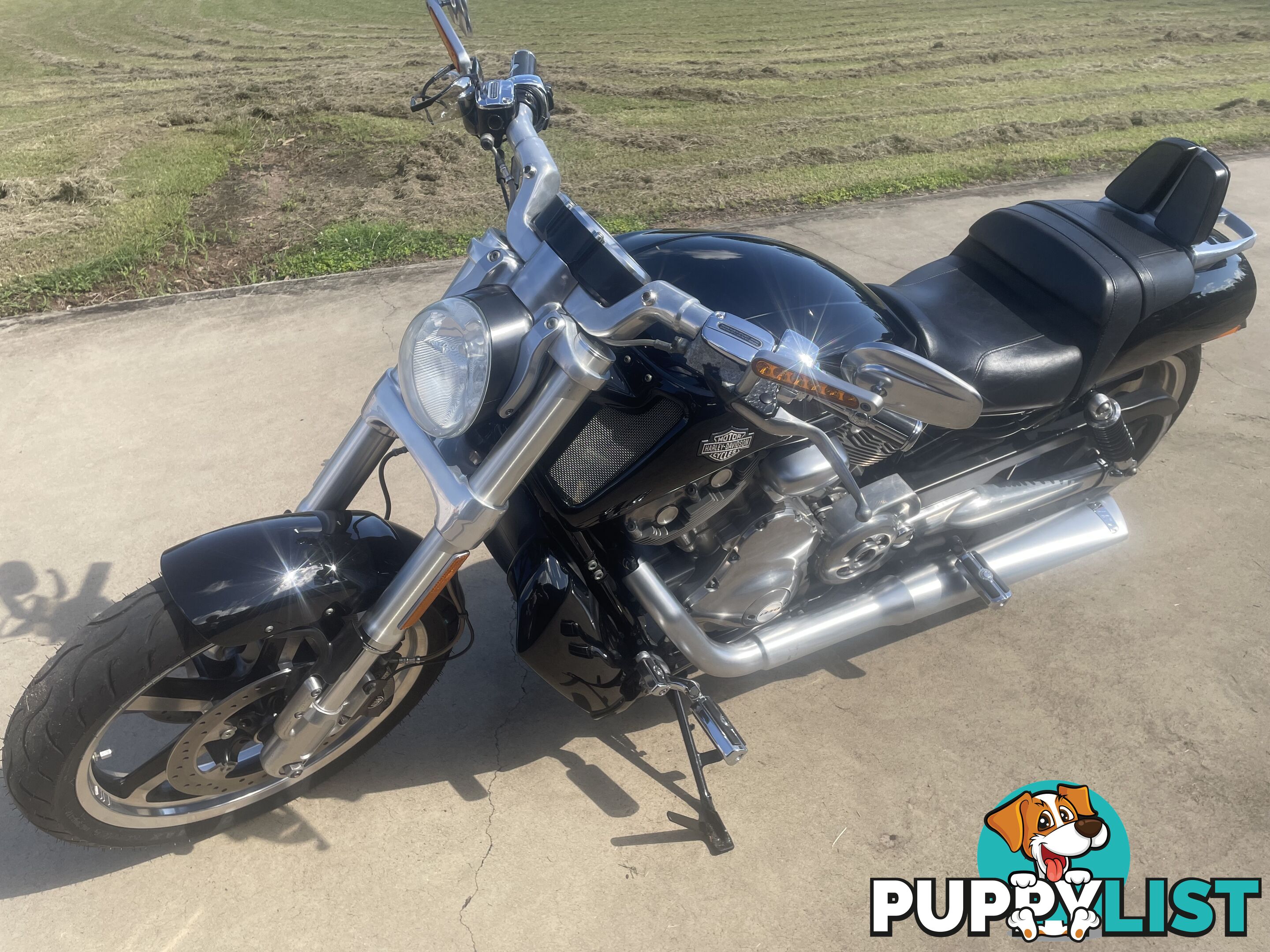 2009 Harley-Davidson V-Rod Muscle (VRSCF)