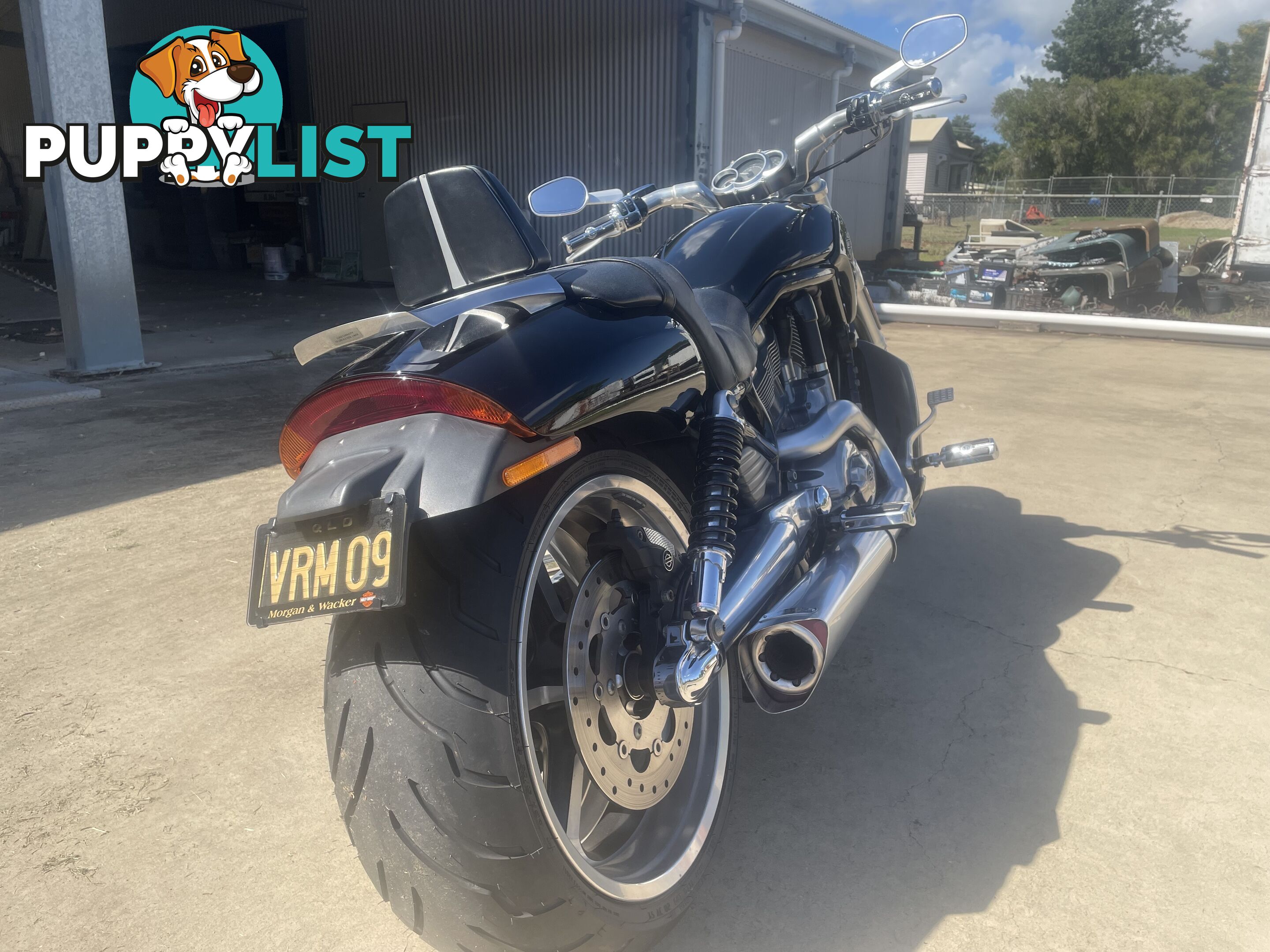2009 Harley-Davidson V-Rod Muscle (VRSCF)
