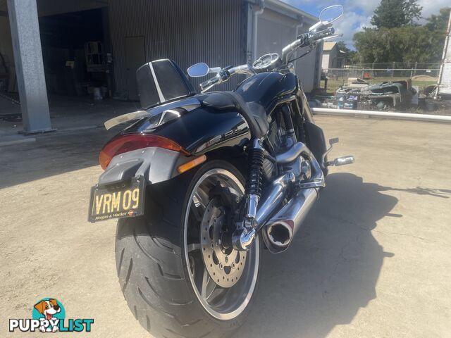 2009 Harley-Davidson V-Rod Muscle (VRSCF)