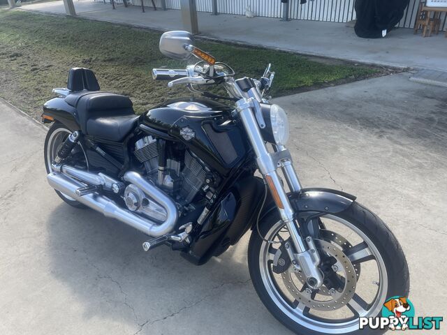 2009 Harley-Davidson V-Rod Muscle (VRSCF)