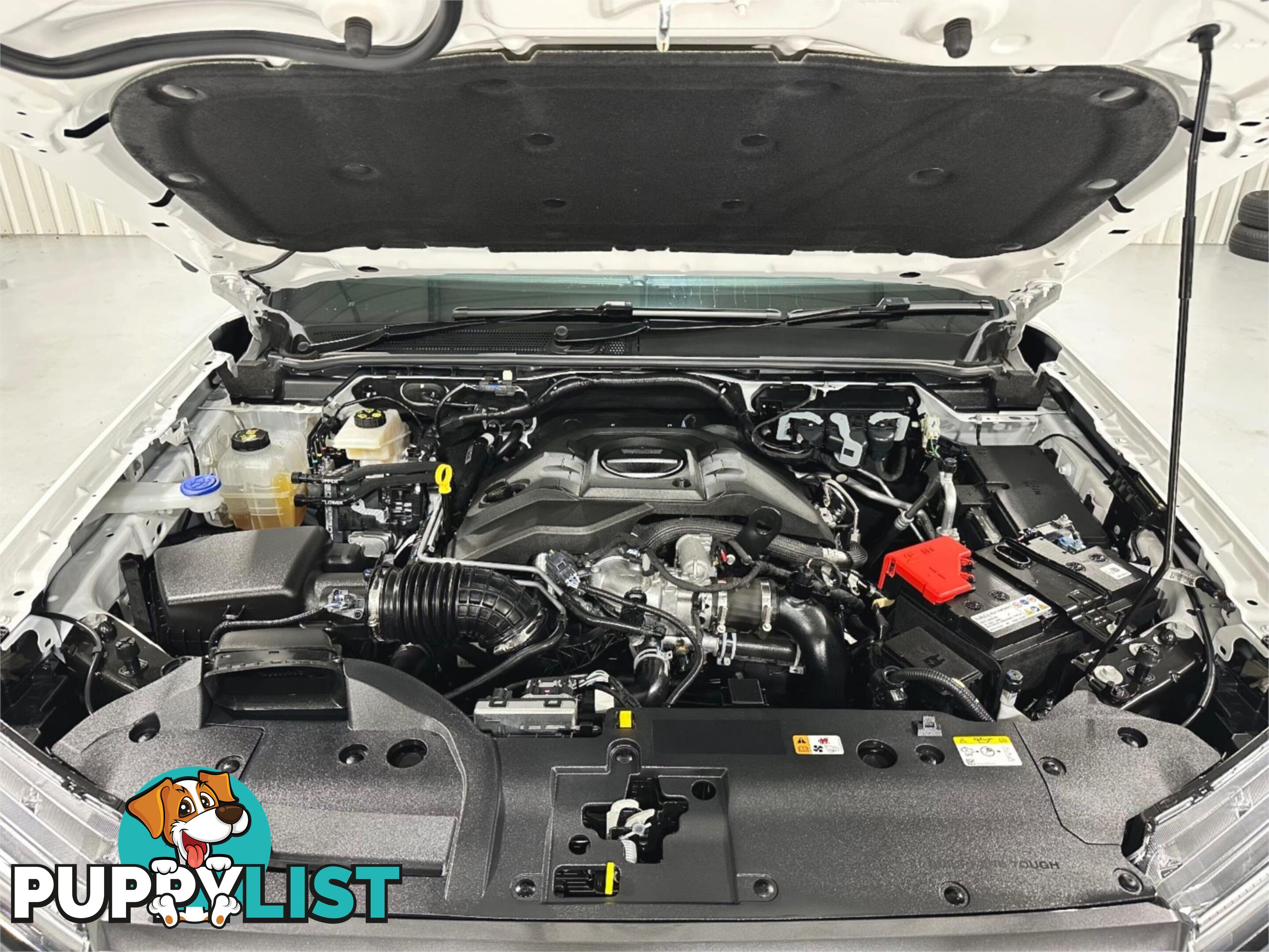 2024 FORD RANGER WILDTRAK PY2024 50MY UTILITY