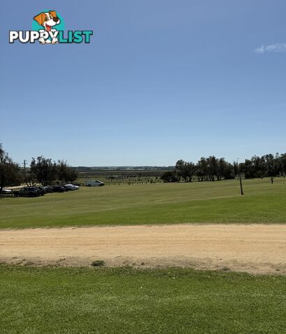 Onsite Caravan Powlett River Holiday Park Victoria