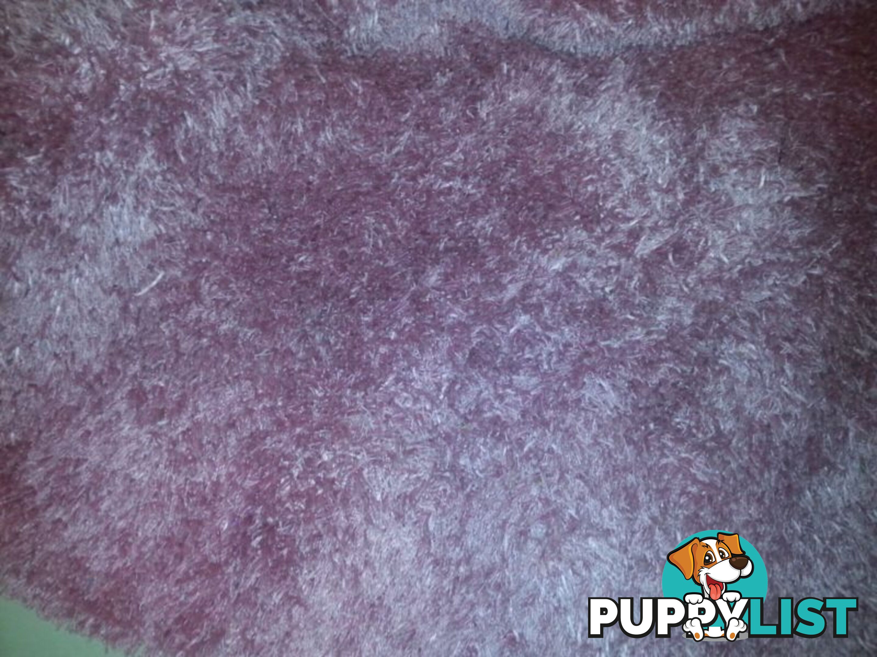 pink shaggy rug