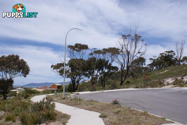 15 Sunrise Court Scamander TAS 7215