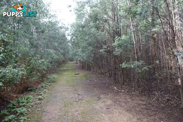 Lot 0 Highland Lakes Road Golden Valley TAS 7304