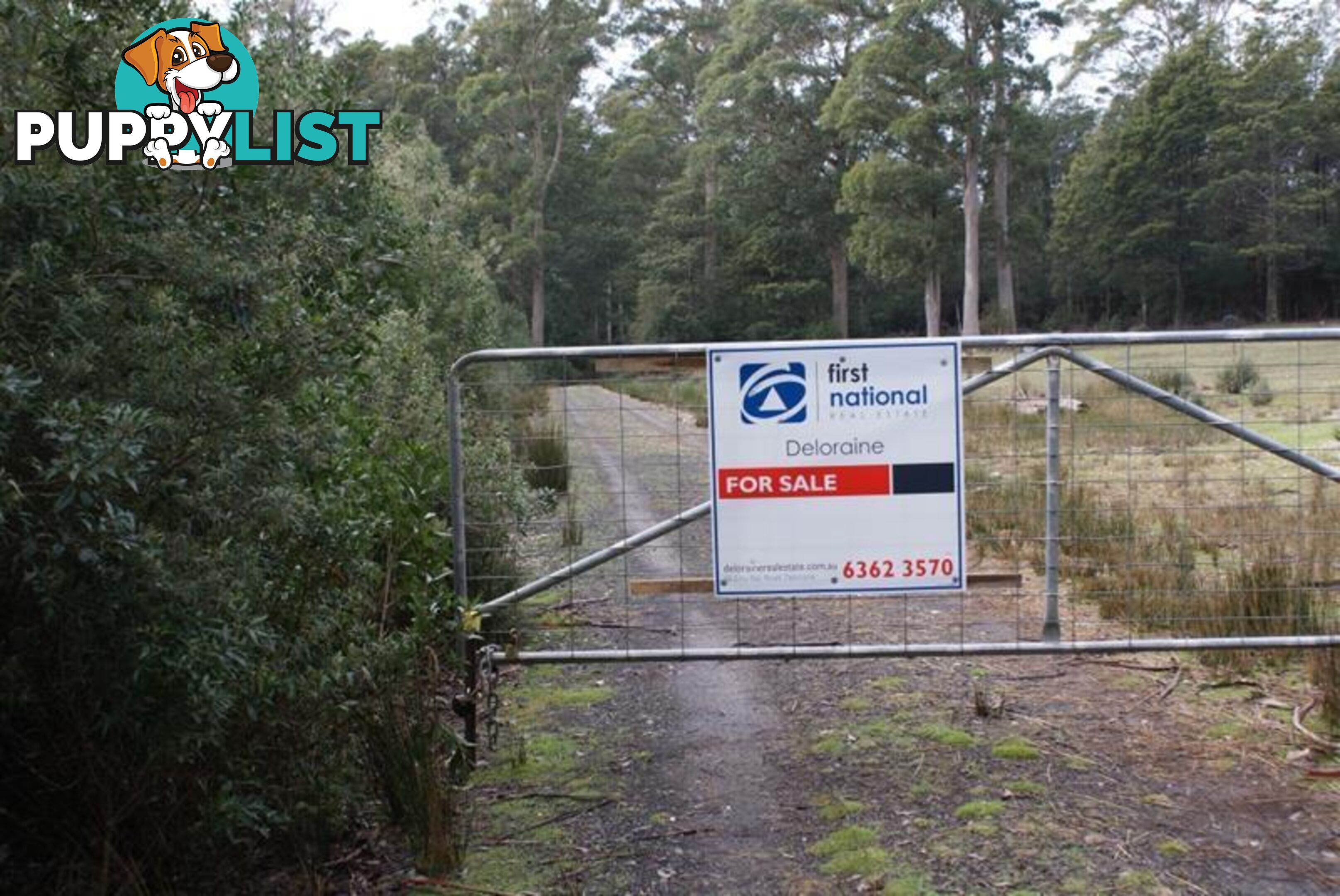 Lot 0 Highland Lakes Road Golden Valley TAS 7304