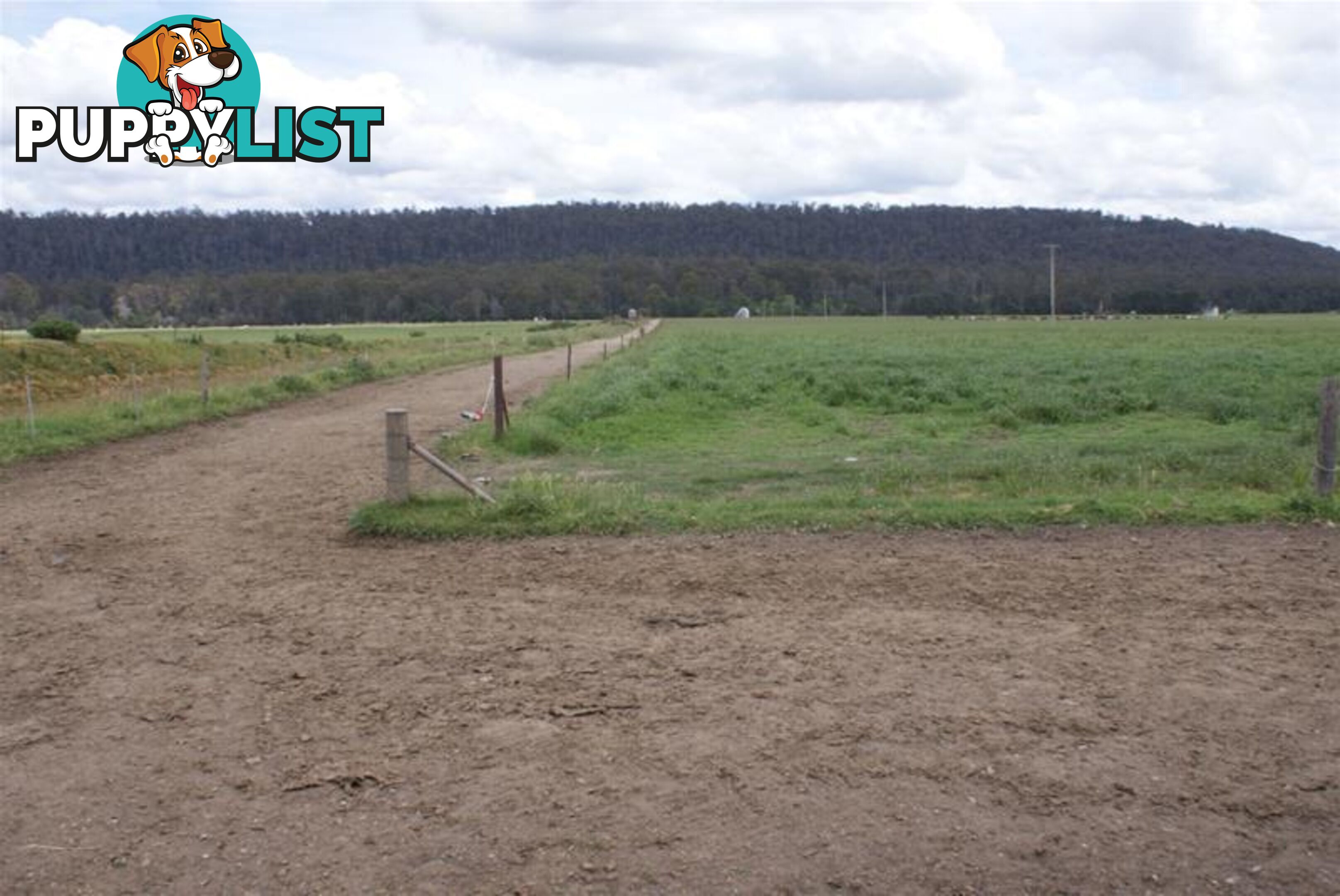 14439 Highland Lakes Road Deloraine TAS 7304