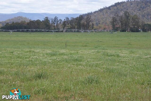 14439 Highland Lakes Road Deloraine TAS 7304