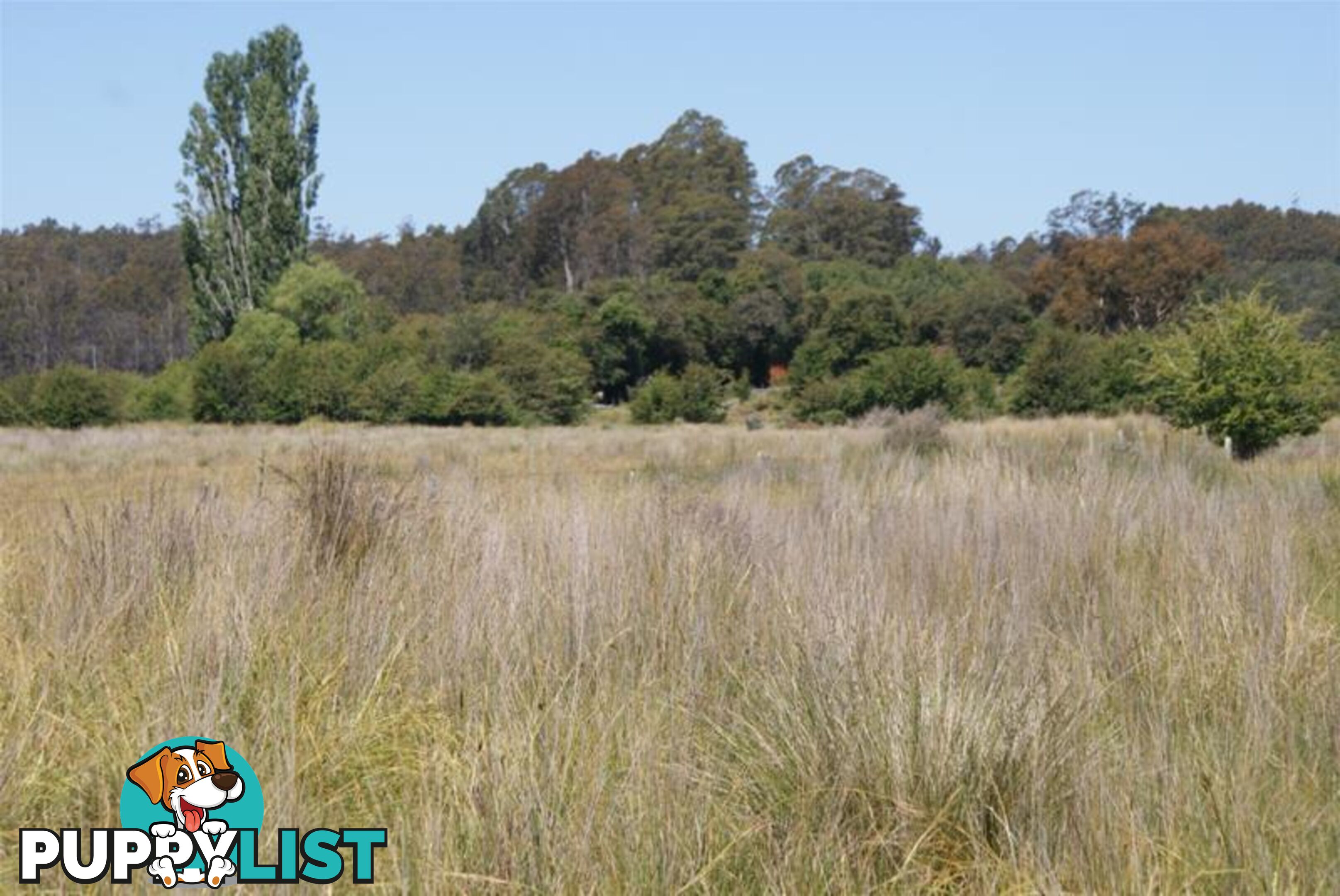 465 River Road Deloraine TAS 7304