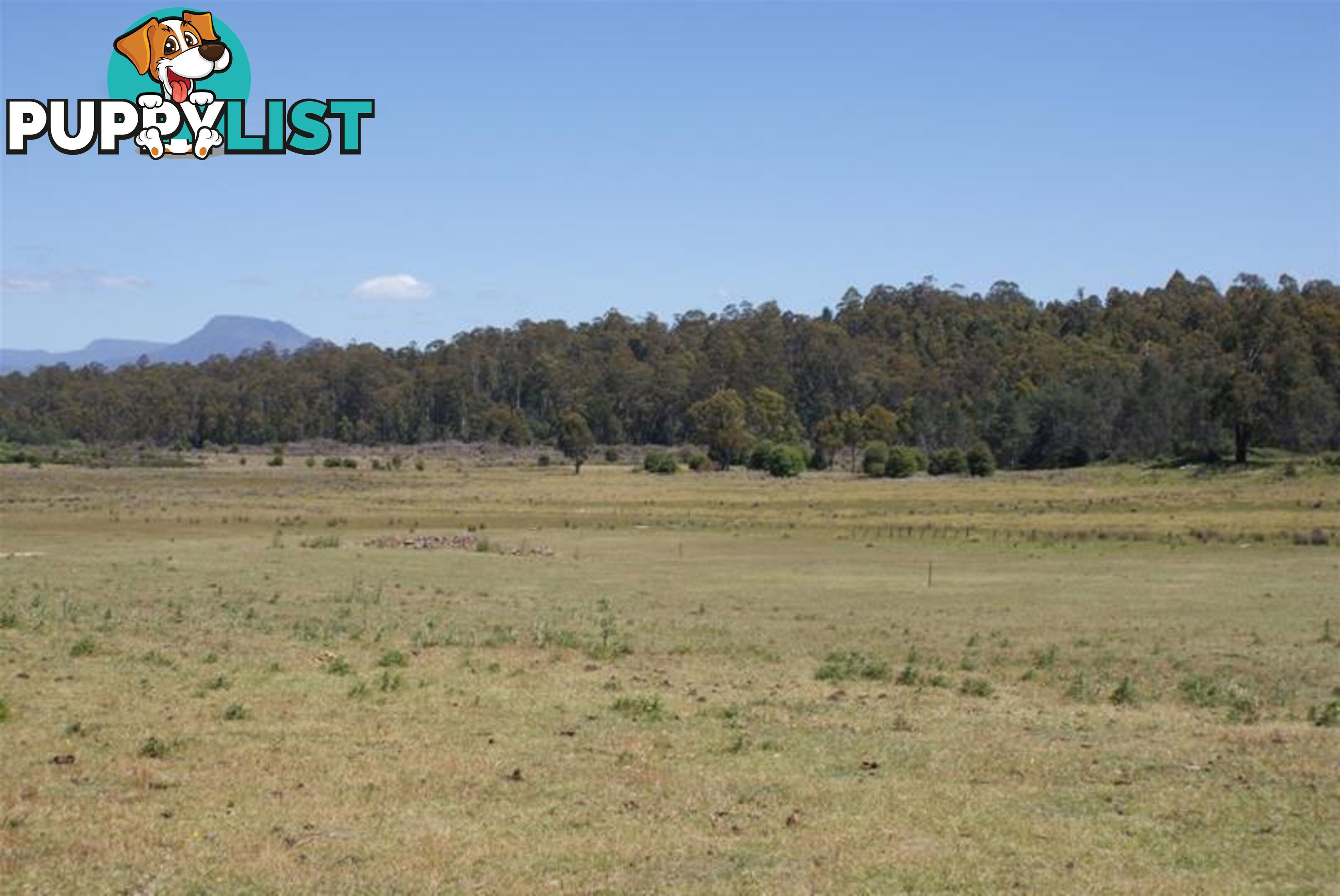 465 River Road Deloraine TAS 7304