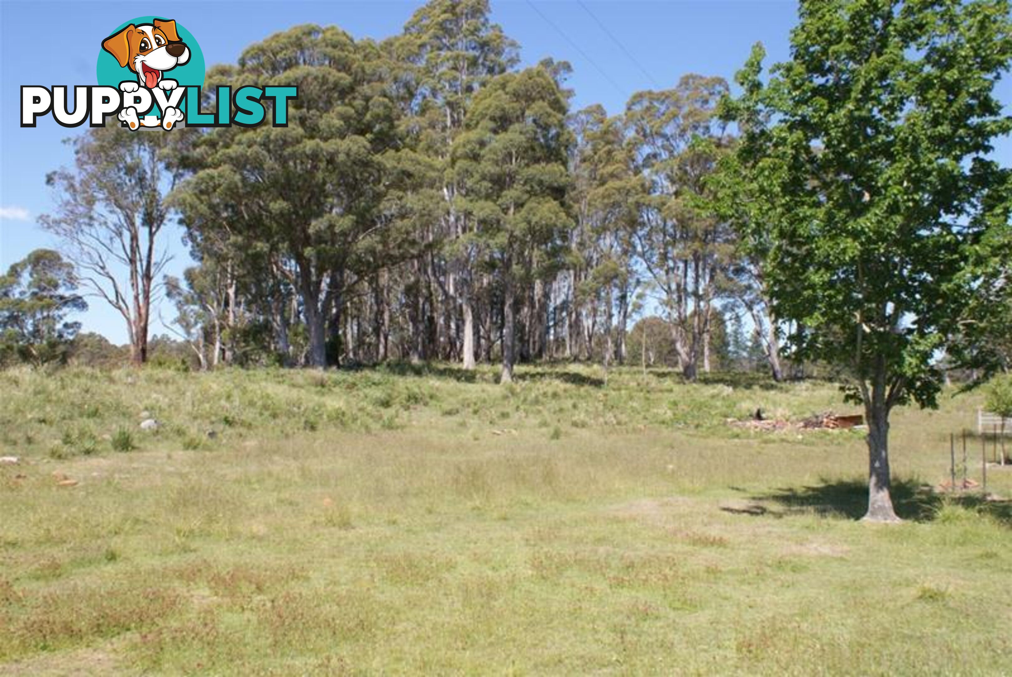 465 River Road Deloraine TAS 7304