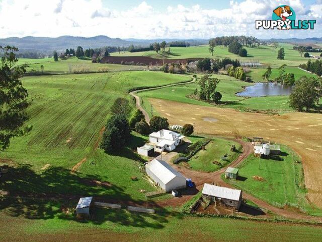 5093 Bass Highway Deloraine TAS 7304