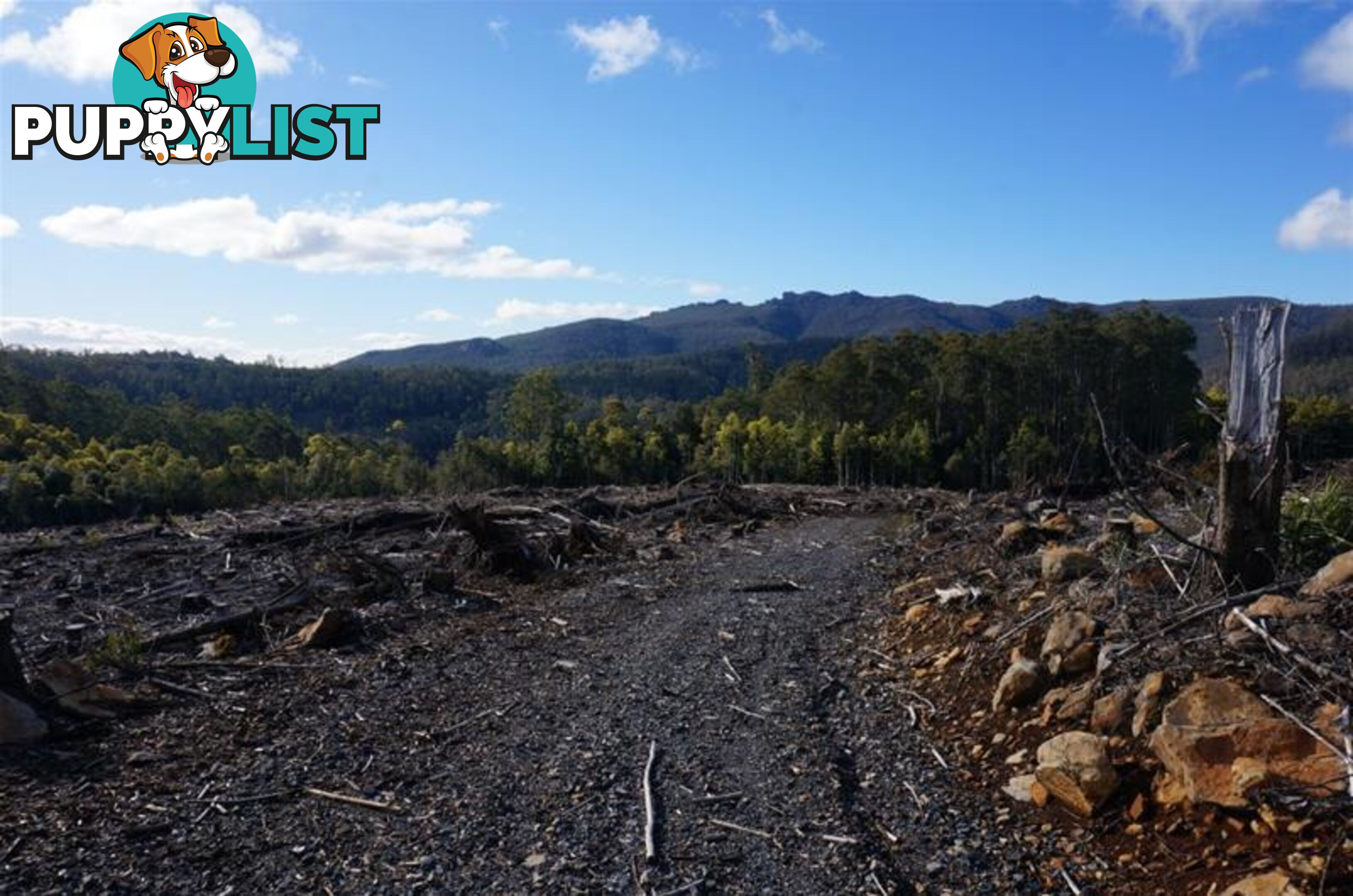 Lot 5 Old Gads Hill Road Liena TAS 7304