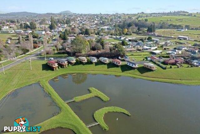 54 Meander Valley Road Deloraine TAS 7304