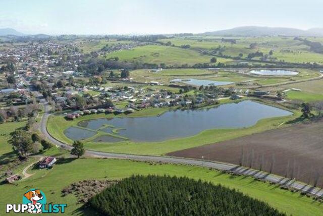 54 Meander Valley Road Deloraine TAS 7304