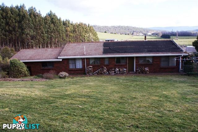 41 Pultney Street Deloraine TAS 7304