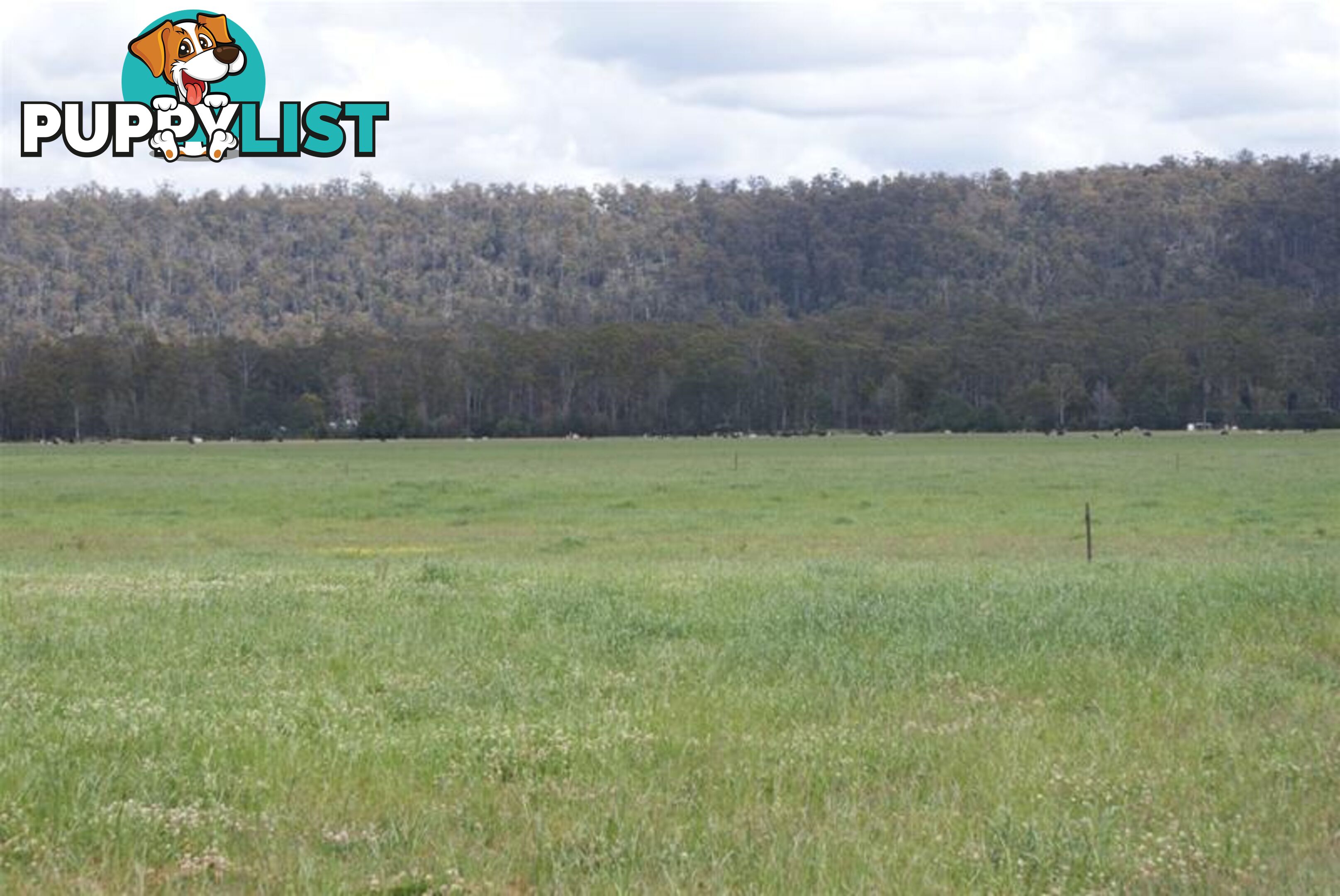 14439 Highland Lakes Road Deloraine TAS 7304